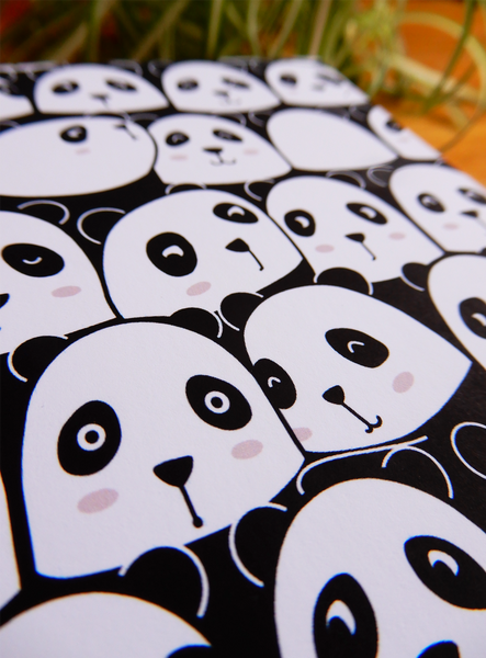 Panda notebook