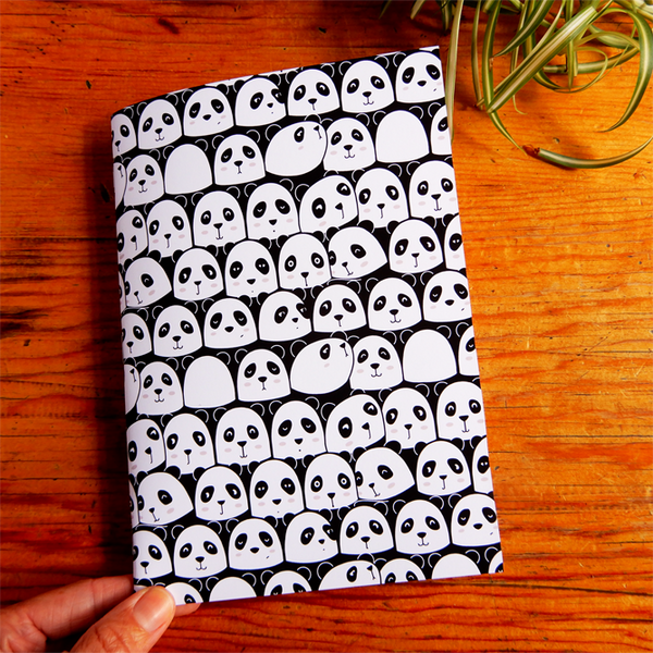 Panda notebook